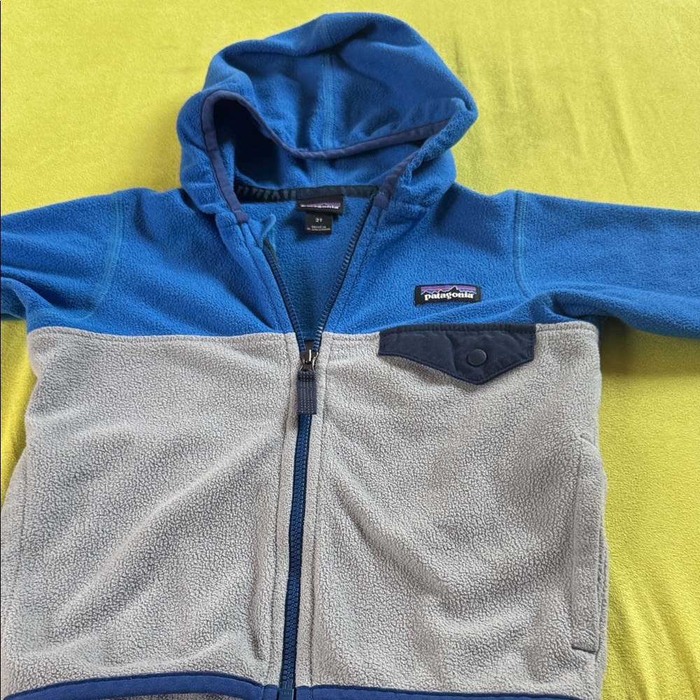 Patagonia Kids Two-Tone Fleece Hoodie size 2T